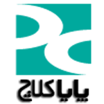 www.payaclutch.ir